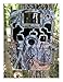 Browning Trail Cameras Trail Camera Dark Ops 940, 16MP