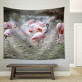 Pink Flamingo Birds in Zoo - Fabric Wall Tapestry Home Decor - 51x60 inches