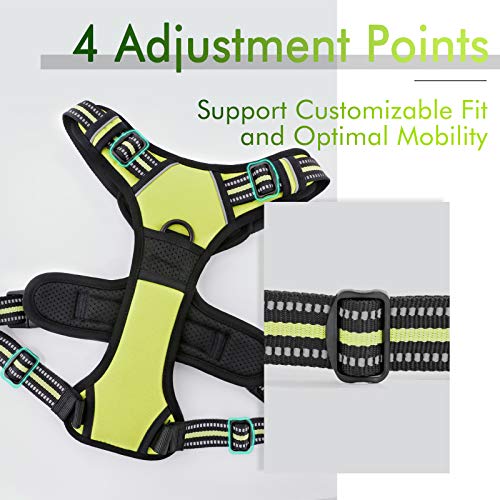 rabbitgoo Dog Harness, NoPull Pet Harness with 2 Leash Clips