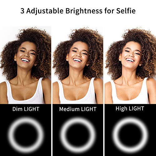 Selfie Ring Light Mini Clip on Ring Light for Phone Laptop Computer Rechargeable Portable LED Clip Circle Light with 3 Brightness Level for Webcam Video Conference Lighting (White,RK14)