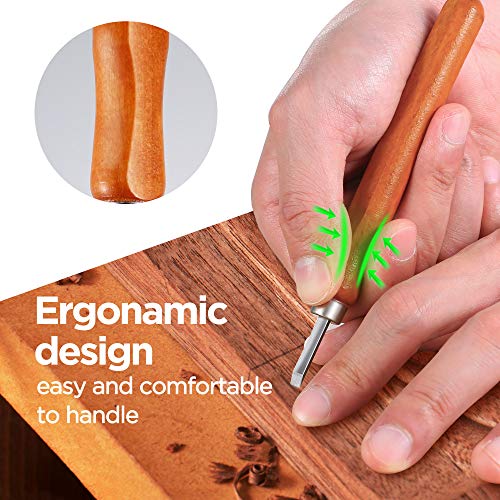 3 Gimars+12+Set+SK5+Vegetables