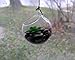 NeutralPure ECO Hanging Glass Plant Terrarium (3 Pcs)