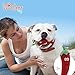 Dawgeee Dog Toys Value 5 Pack for Puppy, Small Dogs and Medium Dogs, Squeaky Toy, Plush Toys, Rope Pet Toys, Dog Chew Toys (Playtime Pack)