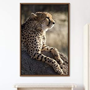signwin Framed Canvas Wall Art Cheetah Animals Cheetah...