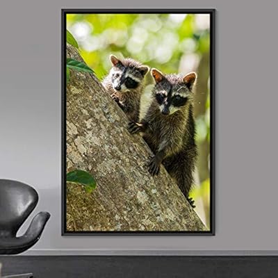 signwin Framed Canvas Wall Art Raccoons Animals Fun...