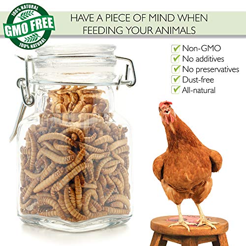 1 PICKY+NEB+Non+GMO+Dried+Mealworms