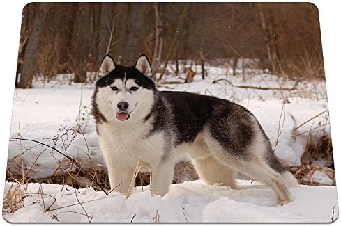 Cool Style Husky Dog Pattern Gaming Mouse Pad PC Computer Laptop Soft Rubber Mousepad Anti-slip Optical Mice Play Mat Size 220mm180mm2mm RUBIN RB024