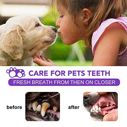 Pet Clean Teeth Spray, Pet Clean Teeth Cleaning Spray for Dogs & Cats, Pet Clean Oral Spray, Fresh Breath for Pet, Targets Tartar & Plaque, Eliminate Bad Breath, 100% Safe Healthy Ingredients (2PCS)