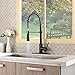 KINGO Farmhouse Single Hole Oil Rubbed Bronze Stainless Steel Spring Kitchen Faucet, Matte Black Tall Kitchen Sink Faucet with Pull Down Sprayer