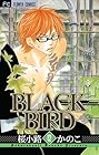 BLACK BIRD 第12巻