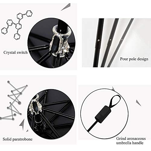 Chranto Lucky 7 Color Changing Folding Umbrella Sunshade Zebra Parasol Rain Shade Anti-UV