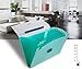Shuter 13-Pockets A4 Expanding Accordion File Folder with Handle, Buckle Closure and Subject Labels.(Green)