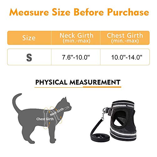 Best Cat Harness And Leash Set 2020 | Walking Escape Proof