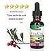 Nature's Answer Uva Ursi Leaf Liquid Drops with Organic Alcohol, 1000mg, 1-Fluid Ounce | Urinary Tract Support | Supports Nephrotic System Function | Vegan, Non-GMO | Single Count