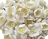 RATREE SHOP 50 Pcs Cherry Blossom Ivory Mulberry Paper Flower 25 mm Scrapbooking Wedding Doll House Supplies Card Project, Products From Thailand.
