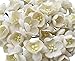 RATREE SHOP 50 Pcs Cherry Blossom Ivory Mulberry Paper Flower 25 mm Scrapbooking Wedding Doll House Supplies Card Project, Products From Thailand.