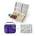 PlanetBox LAUNCH Eco-Friendly Stainless Steel Bento Lunch Box with 3 Compartments for Adults and Kids - Purple Carry Bag with Flora Fun Magnets