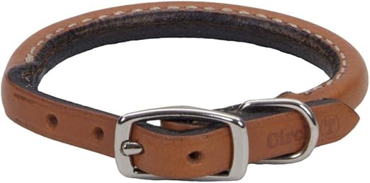 circle t leather dog collars