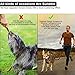 Hands Free Premium Running Dog Leash, Reflective Leash Adjustable Waist Belt + Strong Bungee Leash + Poop Bag Holder