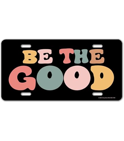 Funny Front License Plate – 'As If You Could Outrun Me', Aluminum, 12x6 Inches, Novelty Car Decor - View #9