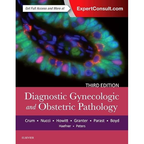 Diagnostic Imaging: Obstetrics: 9780323392563: Medicine