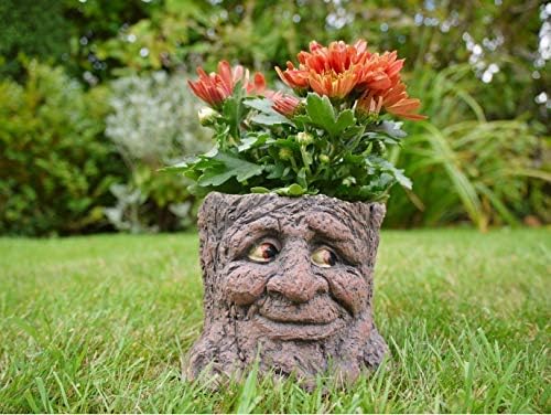 Get Goods Daisy Bumbles Novelty Tree Stump Planter, Face Eyes Open Ideal for Plants Flowers, Beige
