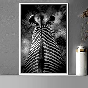 signwin Framed Canvas Wall Art Duotone Zebra Animals...
