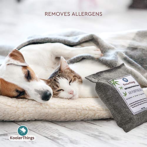 KoolerThings 9 Pack - Bamboo Charcoal Air Purifying Bags (1 X 1000g) (4 X 200g) (4 X50g) Natural Air Fresheners & Odor Eliminators for Home, Pets, Car, Closet, Shoes - Thumbnail 3