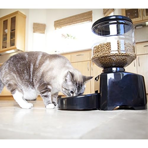 Outlet Mota Perfect Dinner Pet Feeder For Dog And Cat With Portion