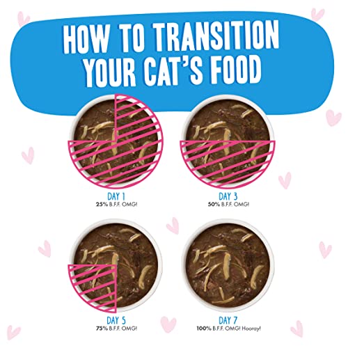 WERUVA B.F.F. OMG – BEST FELINE FRIEND OH MY GRAVY! TUNA & CHICKEN CHARM ME WITH TUNA & CHICKEN IN GRAVY CAT FOOD, 3OZ POUCH (PACK OF 12)