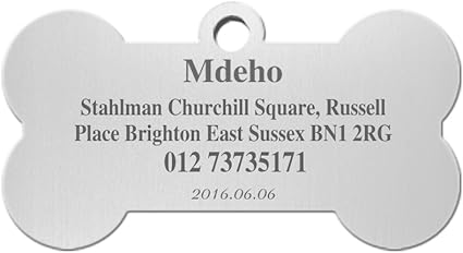 Médaille Personnalisé Pendentif Collier De Chien Polissage Charm Plaque Didentification En Acier Inoxydable Gravé Nom Danimal Téléphone Id Adresse