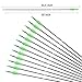 ANTSIR 30 Fiberglass Archery Target Arrows- Practice Arrows for Kids Youth or Begineers on Recurve Bow Long Bow Traditional Bow (Green Vanes Pack of 12)