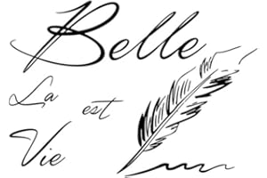 Wall Decal Stickers - French Quote "La Vie Est Belle" Vinyl Decals, DIY Home Bedroom Living Room Decor