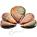 SUNYIK Teardrop Picasso Jasper Loose Bead,for Jewelry Making,Bar Shileds Stone 5Pcs/Set