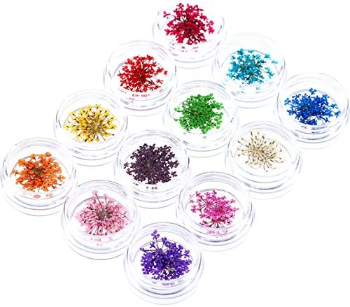 Yimart Nail Art Accessories Real Natural Dried Flowers 12 Colors Bundle Set For 3D Nail Art Acrylic UV Gel Tips