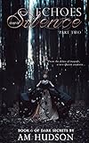 Silence: Part Two of Echoes & Silence (Dark Secrets Book 6)