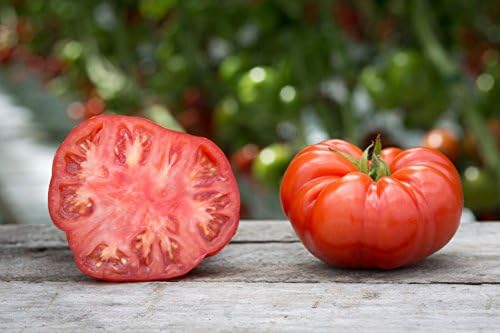 Viridis Hortus - Tomato Beefsteak 45 Vegetable Seeds (GMO Free)