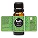 Edens Garden Basil Essential Oil- 100% Pure Premium Grade, Undiluted, Natural, Therapeutic, Aromatherapy, The Best for Diffuser, Skin, Candle, Laundry 10 ml (.33 fl oz)