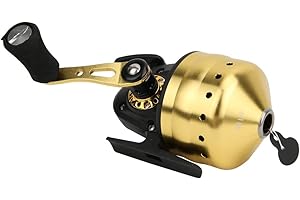 ALOMEJOR Fishing Reel Closed Face Spinning Reel Smooth Outlet Fishing Reel Tool Great for Fishing Freshwate Saltwater(Golden)
