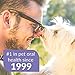 SynergyLabs Dental Fresh Advanced Plaque and Tartar-17 Oz