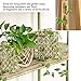 100% Natural Strong Jute Rope - LUOOV 6mm Thickness and Jute Rope Cord for Arts Crafts,DIY Decoration Gift Wrapping