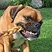 Pawstruck Natural 7” Braided Bully Sticks for Dogs, Tough Long-Lasting, Rawhide-Free, Low Odor, Healthy Single Ingredient Chew Treat for Aggressive Chewers, 10 Count, Packaging May Vary