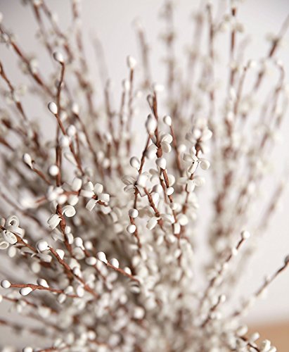 Artificial Flowers Fake Flower 10 Pieces Artificial Winter Jasmine Flowers for Wedding Bouquet Bride Holding Garlands Vine DIY Floral Art Plant Wedding Home Office Party Yard Decoration, White 29"