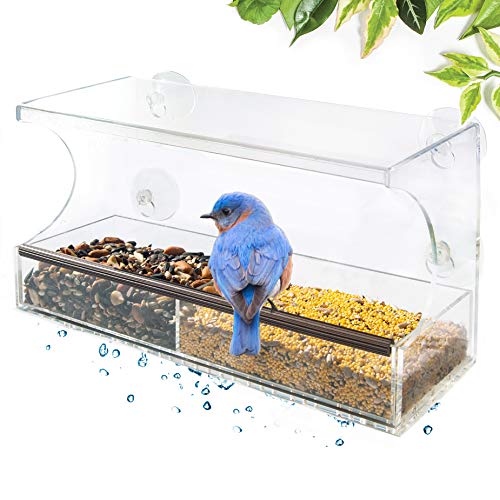Go Simply Amazing Window Bird Feeder Bird Feeders For Outside