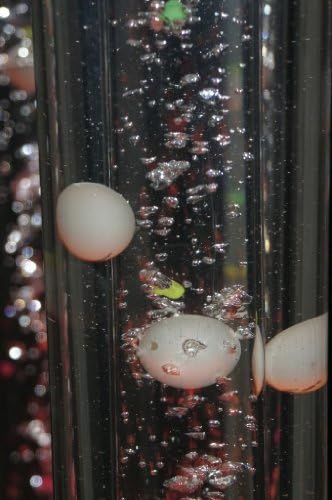 1.75 Meter Ping Pong Insert for Bubble Columns