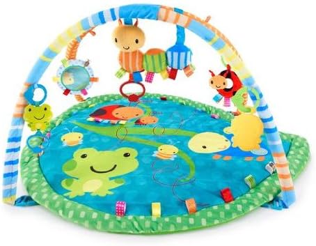 Taggies Bug and Hugs Play Gym: Amazon 