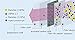 ZWZCYZ Women's Ladies Girls N95 PM 2.5 Cotton & Activated Carbon Respirator Masks Can Be Washed Reusable Masks Multiple Colors (Pink Bow)