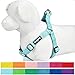 Blueberry Pet Essentials Step-in Dog Harness, Large Size | Adjustable Mint Blue Vest | Classic Solid Nylon for Boy & Girl Dogs, Chest Girth 26