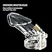 Raycity Male Chastity Cage Device 13 (Clear, Long)