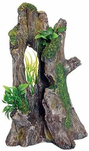 Lapwater Aquatics Ltd AQ28739 Décoration pour vivarium Tronc d'arbre avec plantes